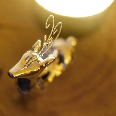 Feriehus Lux House Chocholow