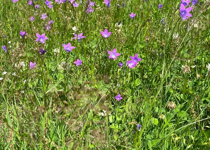 Vakantiehuis Lux House Chocholow