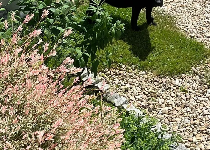 Vakantiehuis Lux House *