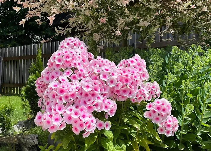 Lux House Vakantiehuis Chocholow